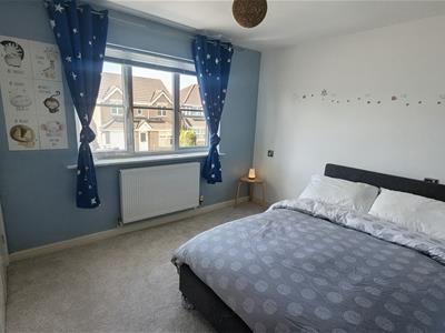 Picture 12